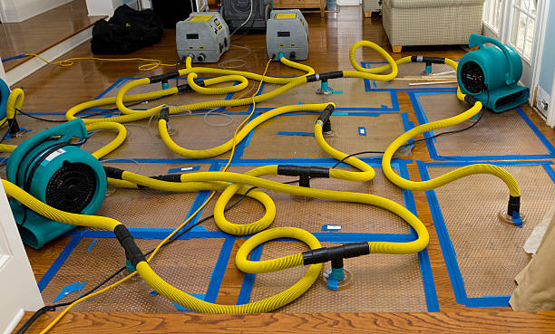 Professional Water Extraction technician working in Cedar Glen, CA